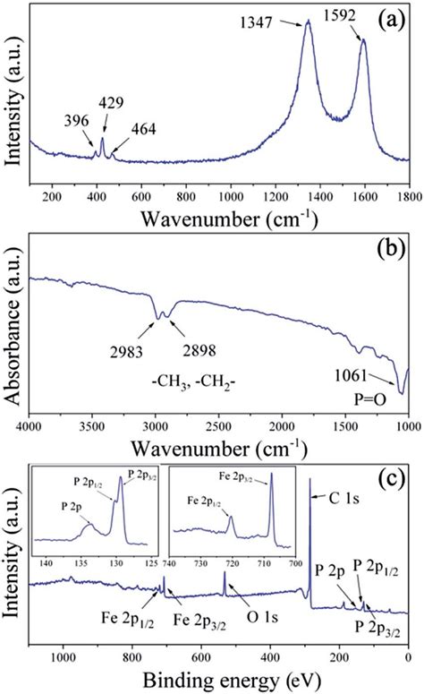 Spectroscopic Characterizations Of The Fep C Nanohybrids A Raman