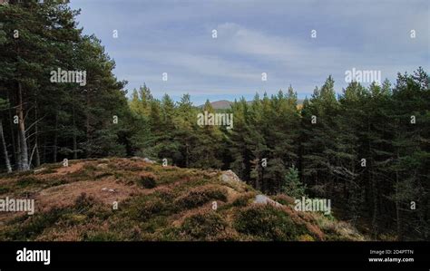 Royal Deeside, Scotland Stock Photo - Alamy