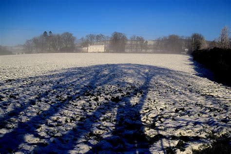 Tree Shadows Faccary Kenneth Allen Cc By Sa 2 0 Geograph Ireland