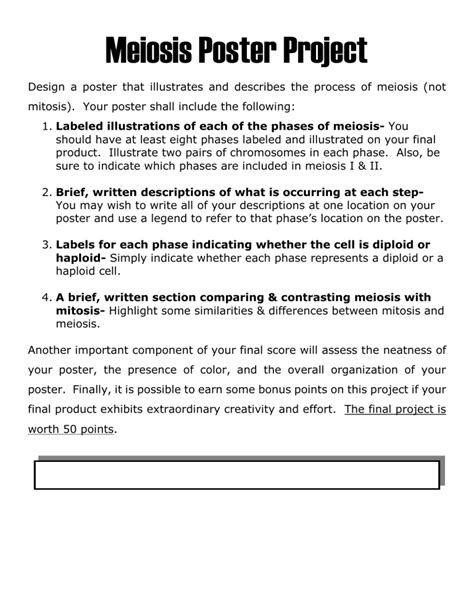 09 meiosis poster project