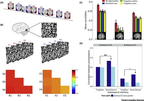 The Neural Representations Underlying Human Episodic Memory Trends In