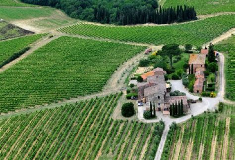 Your 2023 Guide To Tuscany Wine Region