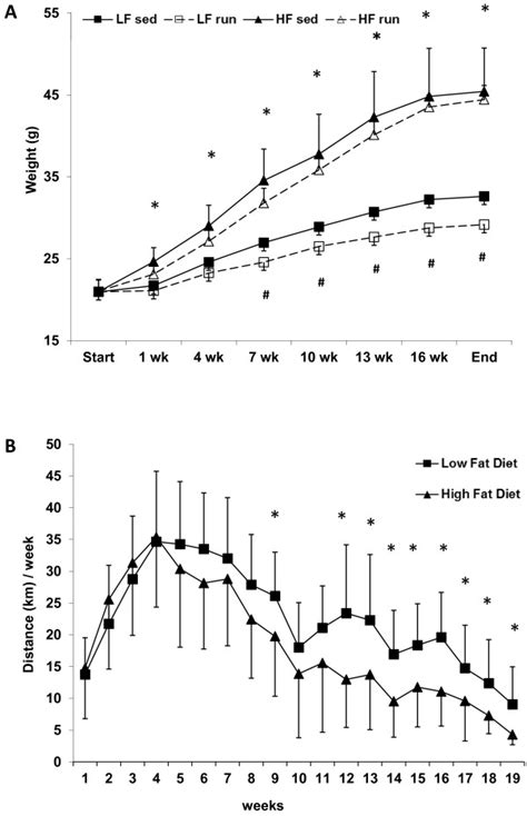 Body Weight Gain And Voluntary Running Of The Mice During The 19 Week