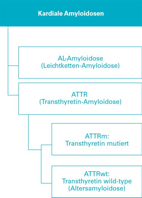 Kardiale Amyloidose Lysosolutions