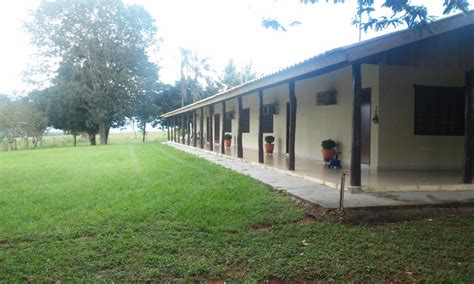 Fazenda A Venda Em Rondon Polis Mt Fazendas Mato Grosso