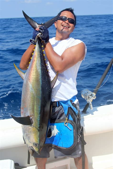 How To Catch Yellowfin Tuna Tips For Fishing For Yellowfin Tuna