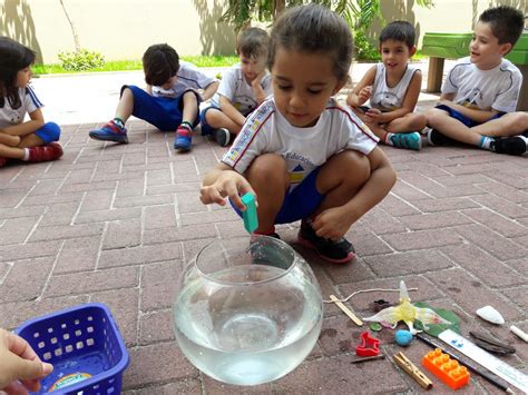 Projeto Pequenos Cientistas Surpreendentes Descobertas Escola Interação