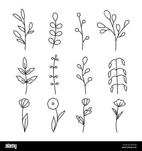 Collection of minimalistic simple floral elements. Graphic sketch ...