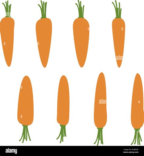 Carrots Vector Illustration Stock Vector Image And Art Alamy