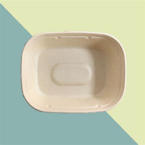 Watsonpak Compostable Food Packaging Supplier Sugarcane Fiber Bagasse