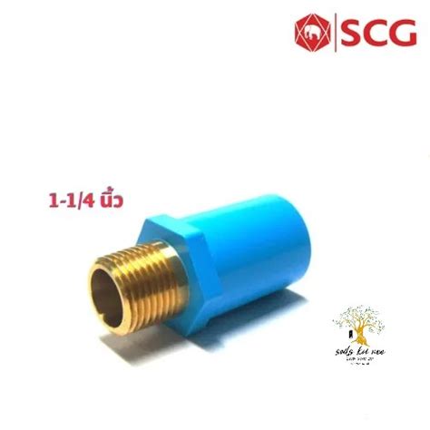 Scg ต่อตรงเกลียวนอก ทองเหลือง Brass Valve Socket ท่อหนา อุปกรณ์ท่อประปา Pvc สีฟ้า ขนาด 1 1 4