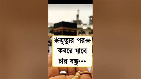 মৃত্যুর পর কবরে যাবে চার বন্ধু Video Islamicstatus Shortvideo