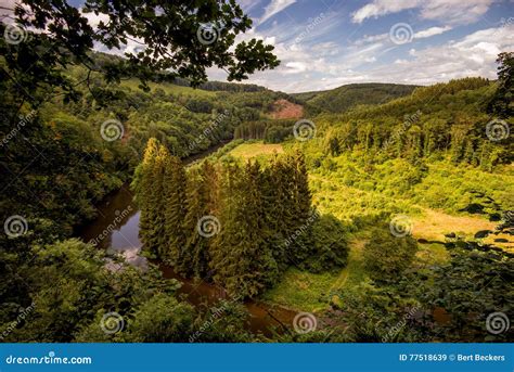 Ardennes Forest stock image. Image of trees, mountains - 77518639