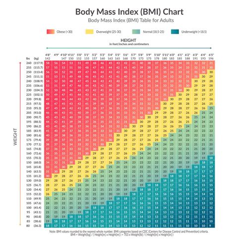 BMI (Body Mass Index) Calculator | Quetelet Index Calculator – Fitness Volt