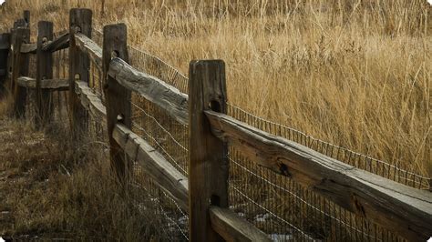 23 Awesome Split Rail Fence Ideas Designs In 2023