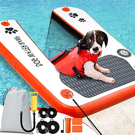 I Tested the Best Above Ground Pool Dog Steps for My Pup: Here's What I ...