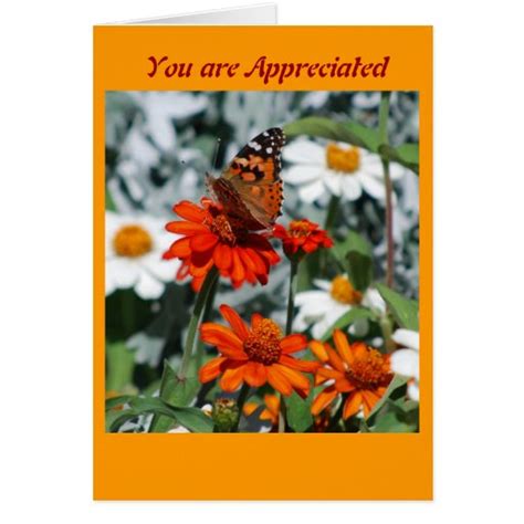 You are appreciated cards | Zazzle