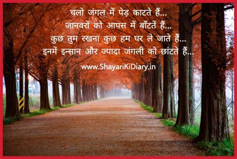 100 Best Nature Shayari परकत पर शयर 2022 नचर शयर