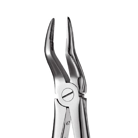 A Upper Roots Forceps Orange Instruments