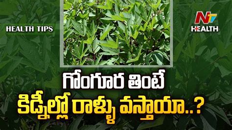 గోంగూర తింటే కిడ్నీల్లో రాళ్ళు వస్తాయా Health Benefits Of Gongura