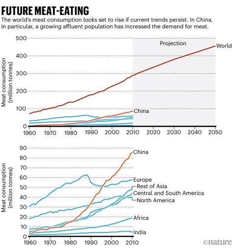 Fungi Bacon And Insect Burgers A Guide To The Proteins Of The Future