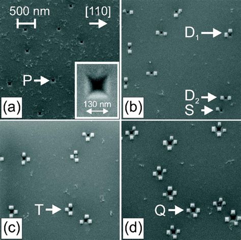 The Scanning Electron Micrographs Show A Growth Sequence Starting With