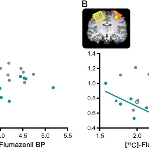 Cross Modality Correlations Between Magnetic Resonance Spectroscopy And