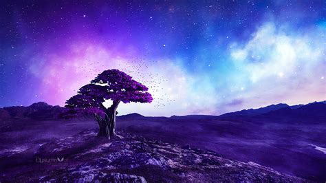 1920x1080 Purple Tree Stories Laptop Full HD 1080P ,HD 4k Wallpapers ...