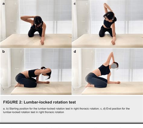 Figure 2 From Intra And Inter Rater Reliability Of The Lumbar Locked Thoracic Rotation Test In