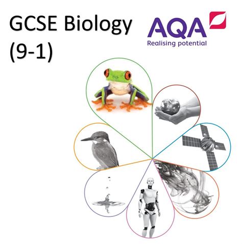 Aqa Gcse Biology 9 1 Paper 1 Double Science Revision Powerpoints With Activities And Answers