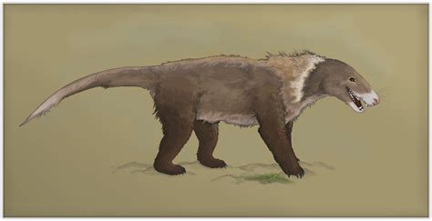 Cynodont Bear By Sheather888 On