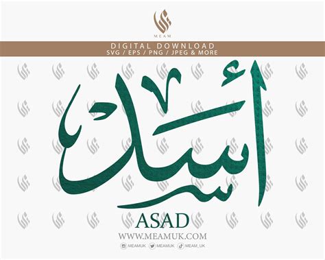 Asad In Arabic Calligraphy Svg Digital Download Files Cut For Cricut