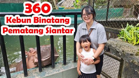 Yuk Jalan Bareng Hailey Di Kebun Binatang Pematang Siantar Youtube