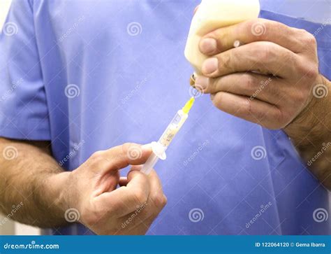 Veterinarian Preparing Medicine To Cure Animals Stock Photo - Image of ...