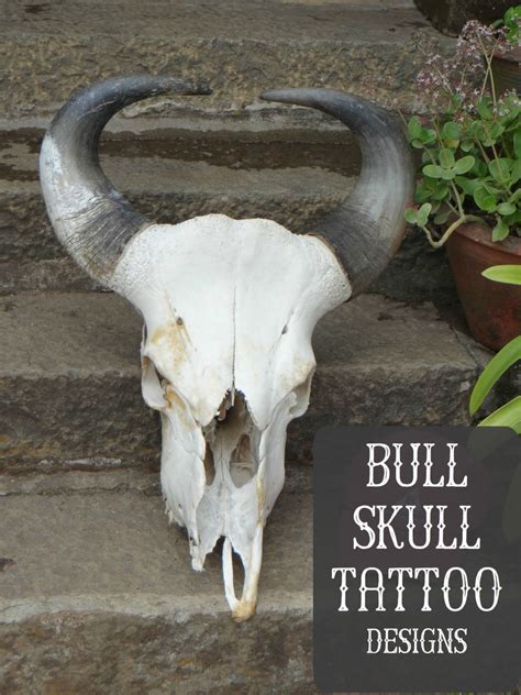 Bull Skull Tattoo Designs and Meanings | TatRing