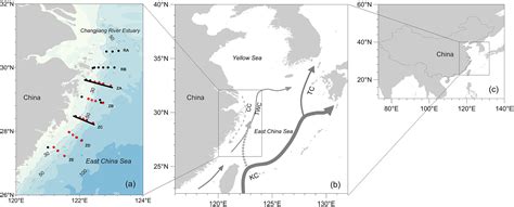 Impacts Of Changjiang River Discharge And Kuroshio Intrusion On The