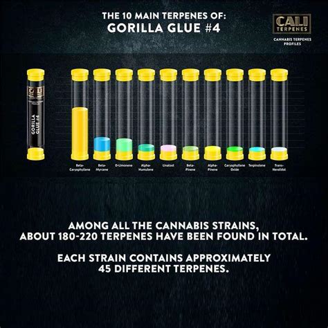 Terps Spray Gorilla Glue Cali Terpenes Acheter Terp Nes Taille Ml