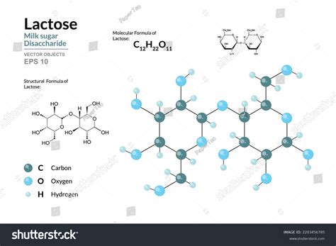 Lactose Line Structure