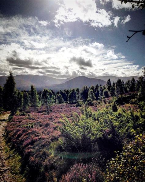 Cairngorms National Park: A Glorious Autumn Wonderland