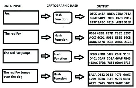 Cryptographic Hash Function Download Scientific Diagram