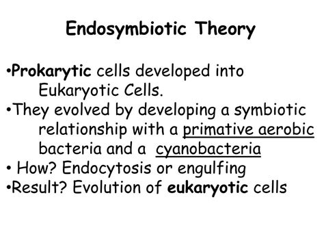 Ppt Endosymbiotic Theory “everything You Need To Know” Powerpoint