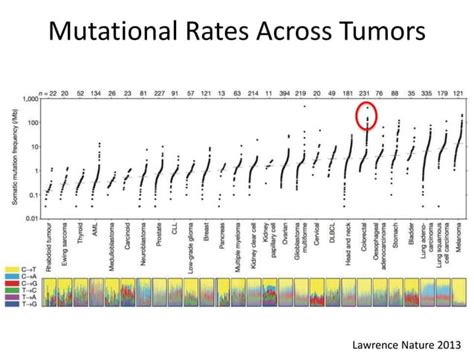 Immunotherapy for Colorectal Cancer