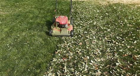 Jeffco Gardener Mulch Mowing Your Autumn Leaves By Jon Fitzgerald