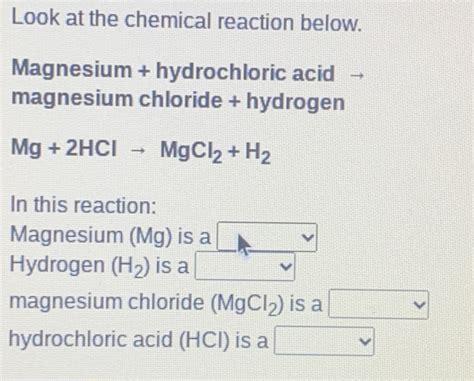 Look at the chemical reaction below. Magnesium + hydrochloric acid ...