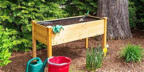 How To Start A Raised Bed Garden Platt Hill Nursery