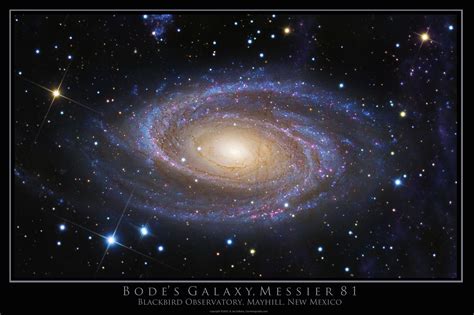 Bode's Galaxy- M81- Special Edition Poster