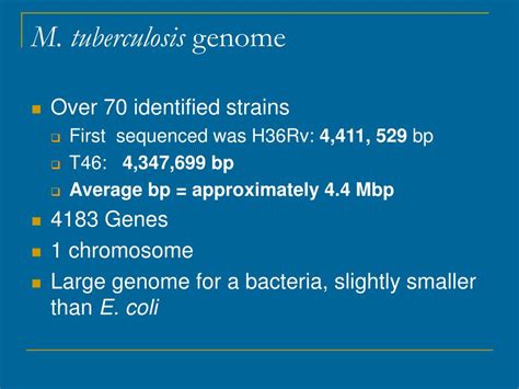 PPT - Mycobacterium tuberculosis PowerPoint Presentation, free download ...