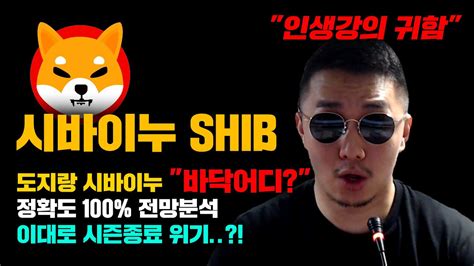 시바이누 Shib 긴급 도지코인 시바이누 바닥은 어디쯤 정확도 100 전망분석 이대로 시즌종료 위기 올까