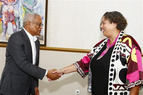 PR recebe Embaixadora de Cabo Verde nas Nações Unidas Presidência da