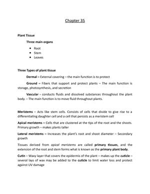 Chapter 27 Caring For Clients With Hypertension Chapter 27 Caring For